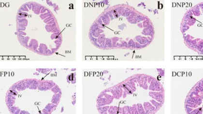 鸿运国际·(中国)集团-鸿运官网接待你